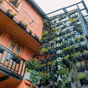 Masaya Albergue